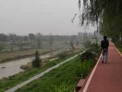 -洨河生态公园