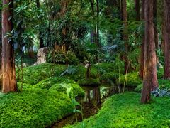 -成都市活水公园