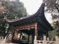 -汇龙潭