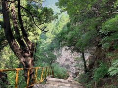 -北京上方山国家森林公园