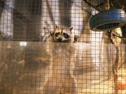 -酷嗒动物文化乐园(cutezoo西溪乐天城店)