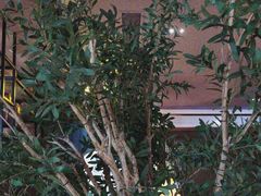 -八府香鸭·啫啫煲(华山路店)