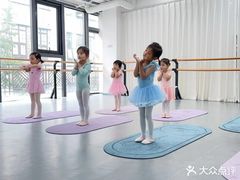 -中央芭蕾舞团·中芭艺蕾(酒仙桥明星校区)