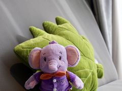 -青岛富力艾美酒店