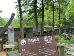 -都江堰中华大熊猫苑