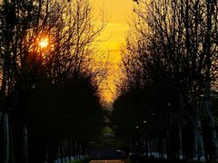 -大渡口区义渡公园