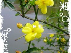 -兰溪青年公园