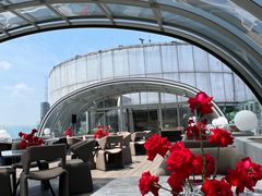 -Hi City·城市之巅