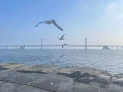 -星海广场