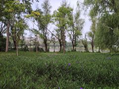 -昆山城市生态森林公园