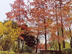 -石湖景区