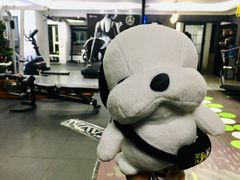 -简·无界健身工作室·运动康复·体态(石厦店)