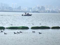 -大理洱海