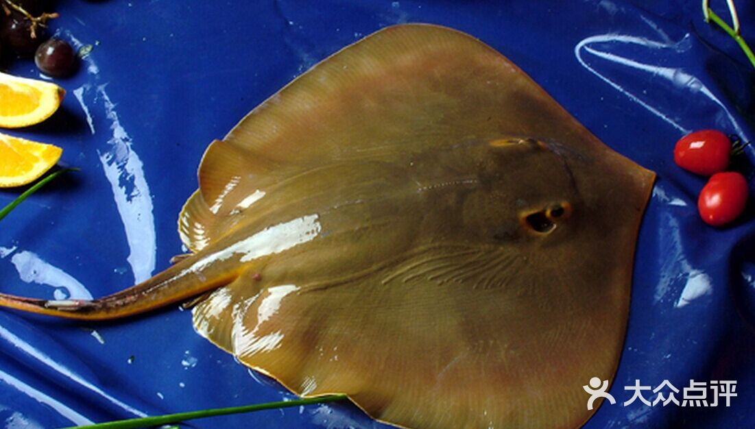 外婆味道·海鲜大咖黄皮蛤图片-北京海鲜-大众点评网