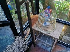 -古董花园(思南路42弄小区店)