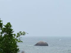 -那琴半岛地质海洋公园