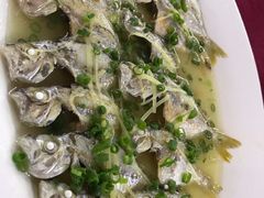 清蒸风立鱼-隆都四季香饭店(碧海路店)