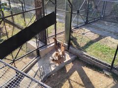 -深圳野生动物园