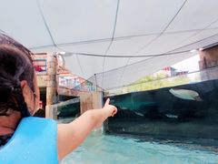 -新加坡水上探险乐园