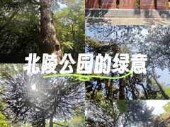 -北陵公园