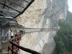 -鹿院坪生态旅游景区