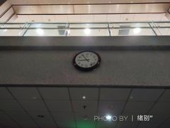 -青岛市图书馆