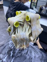 -藤野造型