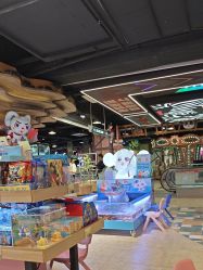 -卡通尼·Safari非洲探索乐园·生日会(金桥国际商业广场店)