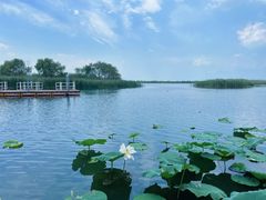 -苏州太湖湖滨国家湿地公园