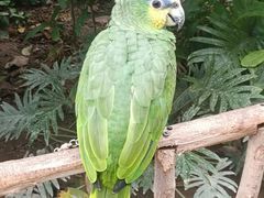 -南宫五洲植物乐园