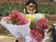 -三圣花乡旅游区