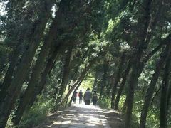 android_upload_pic-金堂县云顶石城风景区