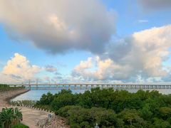 -宝安西湾红树林湿地公园