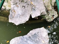 -汇龙潭