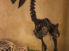 -信不信由你博物馆