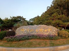 -顺峰山公园