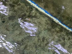 -光头佬室内钓虾场·烧烤·团建·亲子(中山八路店)