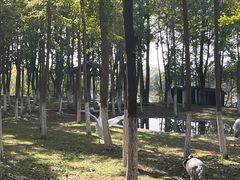 -艾溪湖湿地公园