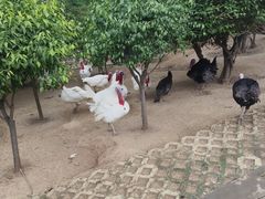 -森林公园(尖草坪区)