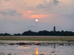 -日照海滨国家森林公园