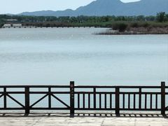 -野鸭湖国家湿地公园