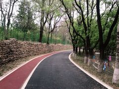 -云岗森林公园