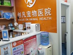 -创凡宠物医院·骨专科  猫科中心(西乡分院)