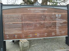 -安仁古镇