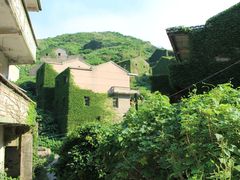 -枸杞岛