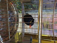 那家小馆(中关村店)-那家小馆•北京菜•烤鸭(中关村店)