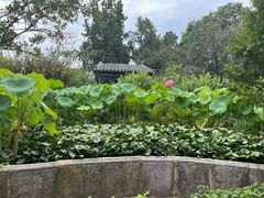 -孔府