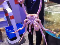 -蟹之国·精品蟹料理(极地店)