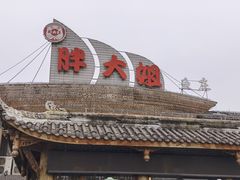 -胖大姐黄辣丁鱼庄(新津店)