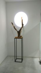 -榕树上·瑜伽普拉提